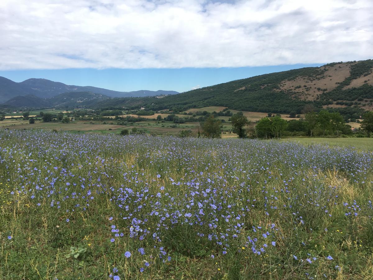 Tenuta Due Laghi Rivodutri Екстериор снимка